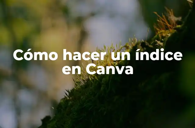 Cómo Hacer un Índice en Canva