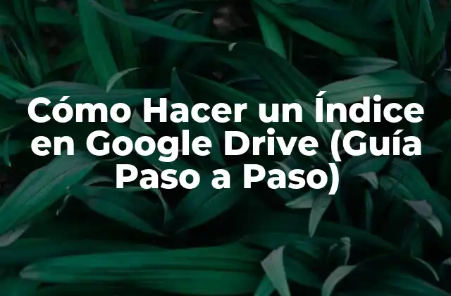 Cómo Hacer un Índice en Google Drive (guía Paso a Paso) 16 ¿Qué es un Índice en Google Drive?