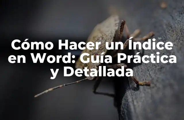 Cómo Hacer un Índice en Word: Guía Práctica y Detallada