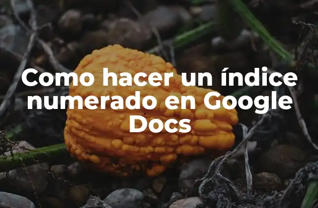 Como Hacer un Índice Numerado en Google Docs