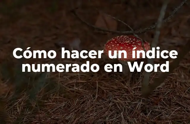 ¿Qué es un índice numerado en Word?