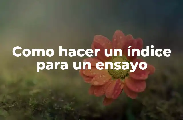 Como Hacer un Índice para un Ensayo