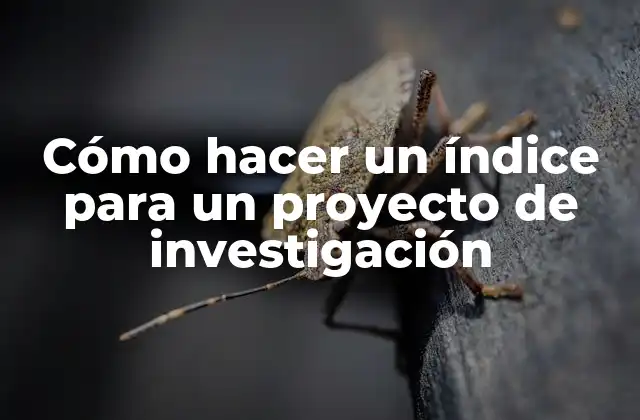 Cómo Hacer un Índice para un Proyecto de Investigación