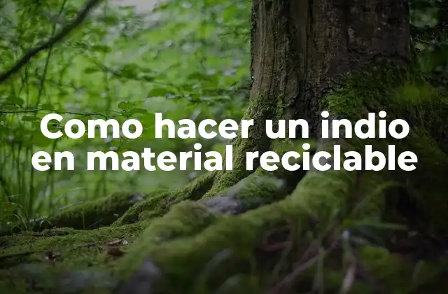 Como Hacer un Indio en Material Reciclable