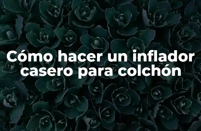 Cómo Hacer un Inflador Casero para Colchón