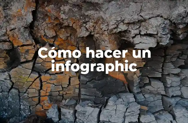 Cómo Hacer un Infographic