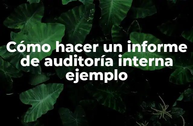 ¿Qué es un informe de auditoría interna?