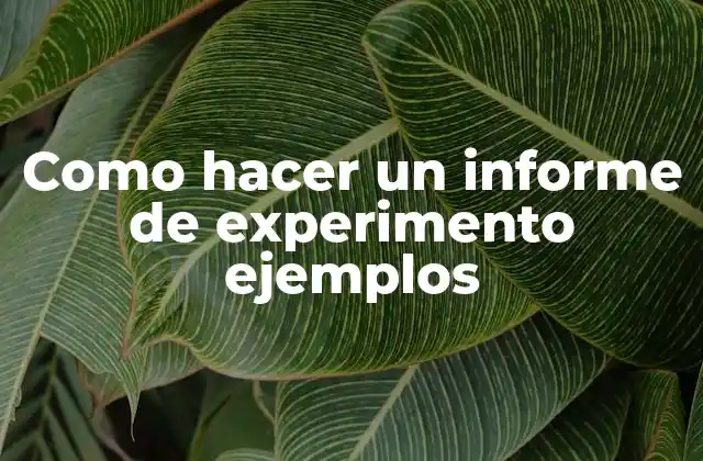 Como Hacer un Informe de Experimento Ejemplos 2 ¿Qué es un informe de experimento y para qué sirve?