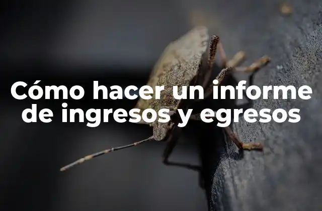 Cómo Hacer un Informe de Ingresos y Egresos