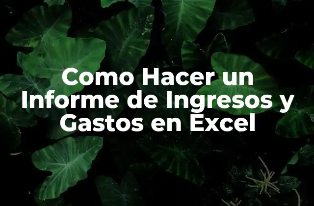 Como Hacer un Informe de Ingresos y Gastos en Excel