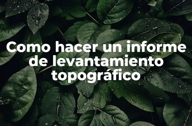 Como Hacer un Informe de Levantamiento Topográfico