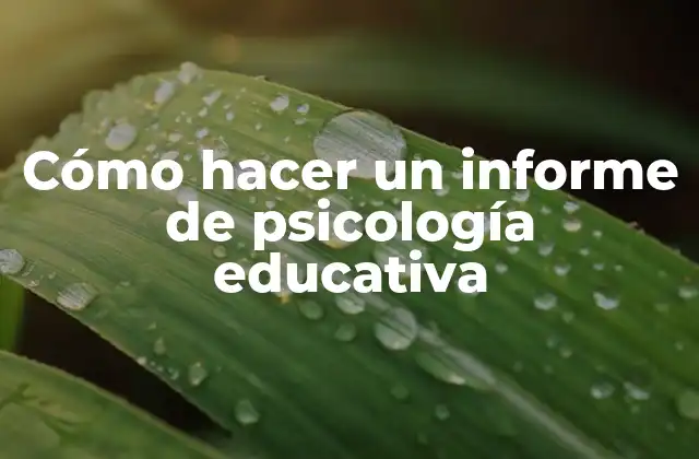 Cómo Hacer un Informe de Psicología Educativa