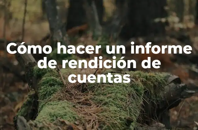 Cómo Hacer un Informe de Rendición de Cuentas