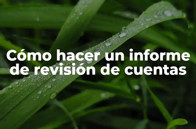 Cómo hacer un informe de revisión de cuentas