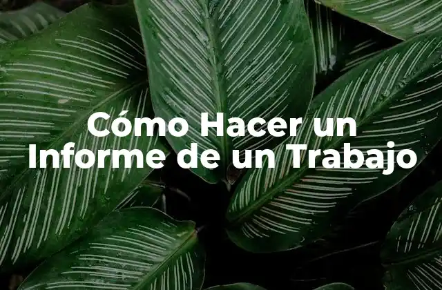 Cómo Hacer un Informe de un Trabajo