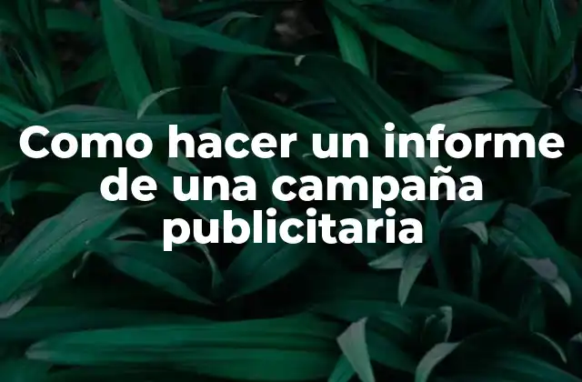 Como Hacer un Informe de una Campaña Publicitaria
