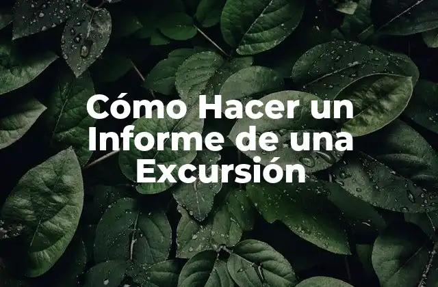 Cómo Hacer un Informe de una Excursión