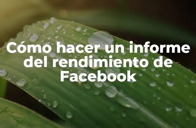Cómo hacer un informe del rendimiento de Facebook