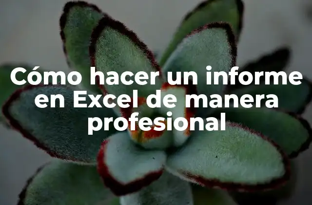 Cómo Hacer un Informe en Excel de Manera Profesional 2 Cómo hacer un informe en Excel de manera profesional