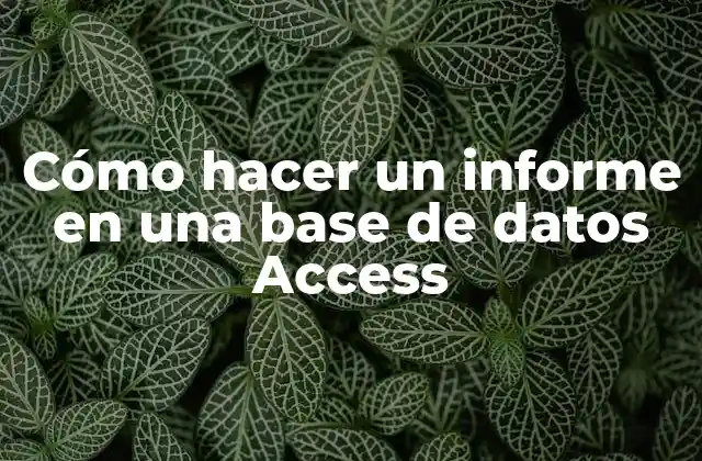 Cómo Hacer un Informe en una Base de Datos Access