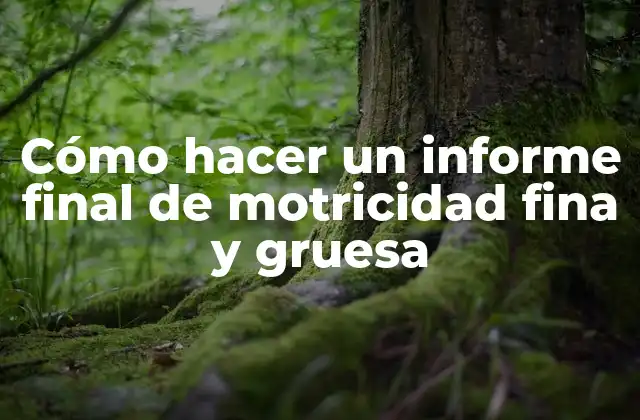 Cómo Hacer un Informe Final de Motricidad Fina y Gruesa