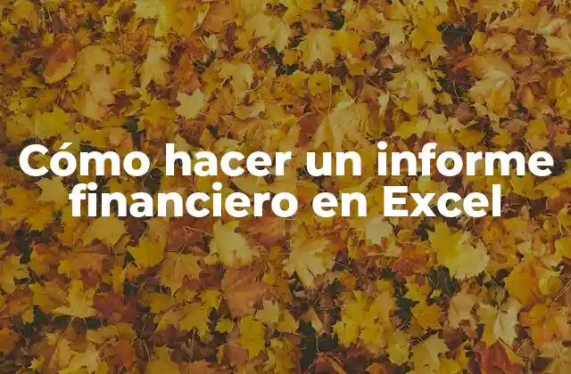 Cómo Hacer un Informe Financiero en Excel