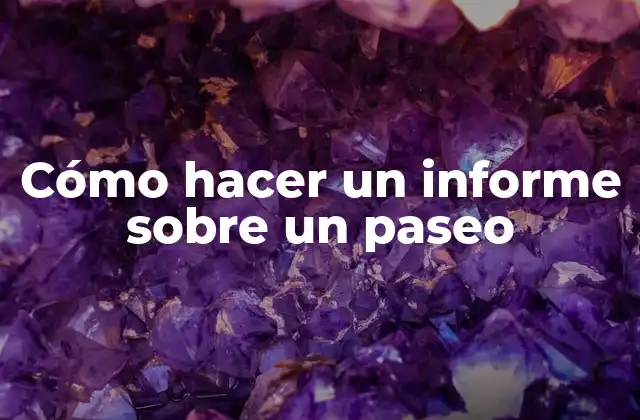 Cómo Hacer un Informe sobre un Paseo