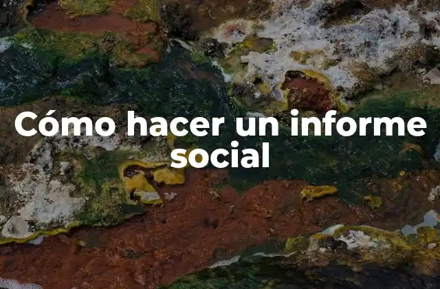Cómo Hacer un Informe Social