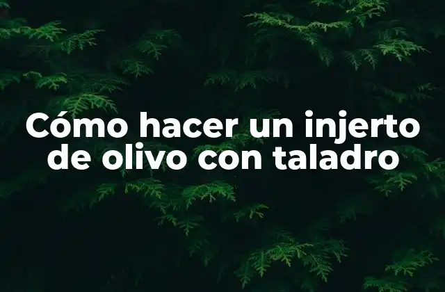 Cómo Hacer un Injerto de Olivo con Taladro