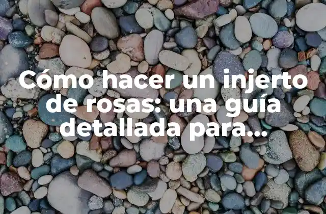 Cómo Hacer un Injerto de Rosas: una Guía Detallada para Jardineros Principiantes