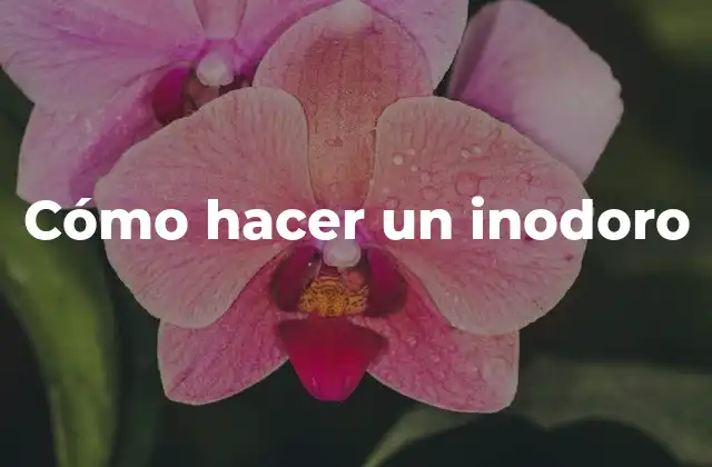 Cómo Hacer un Inodoro