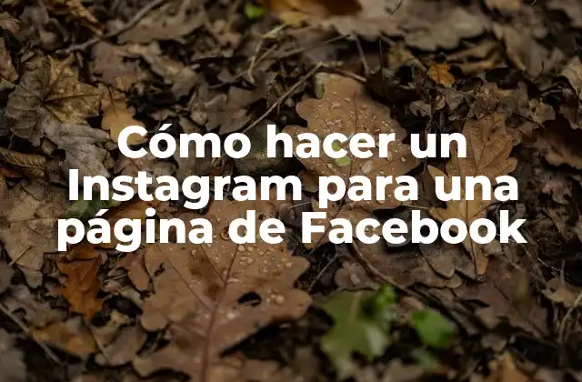 Cómo Hacer un Instagram para una Página de Facebook