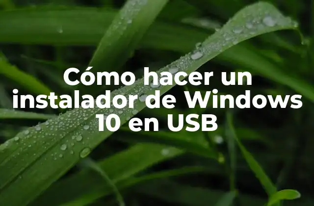 Cómo Hacer un Instalador de Windows 10 en Usb