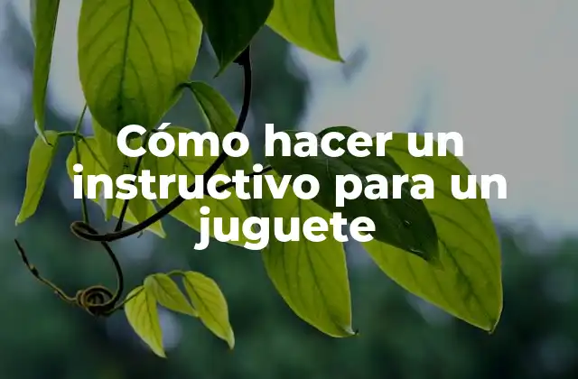Cómo Hacer un Instructivo para un Juguete
