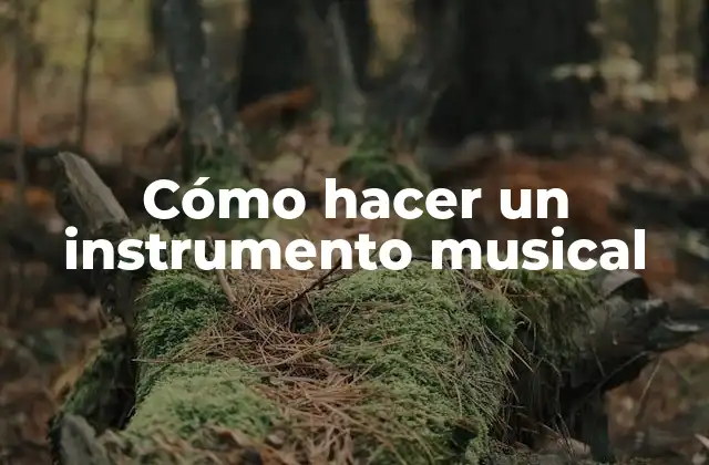 Cómo Hacer un Instrumento Musical