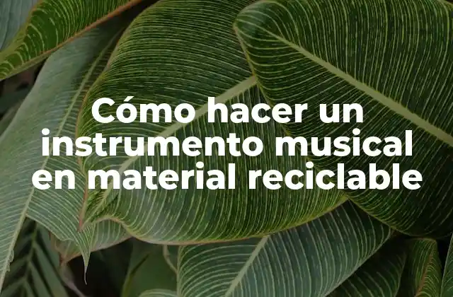 Cómo Hacer un Instrumento Musical en Material Reciclable