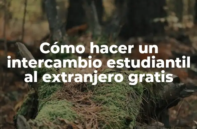 Cómo Hacer un Intercambio Estudiantil Al Extranjero Gratis