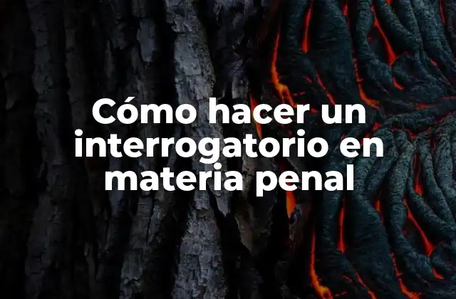 Cómo Hacer un Interrogatorio en Materia Penal