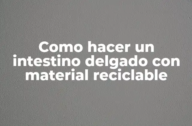 Como Hacer un Intestino Delgado con Material Reciclable