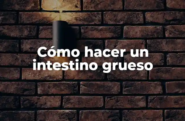 Cómo Hacer un Intestino Grueso