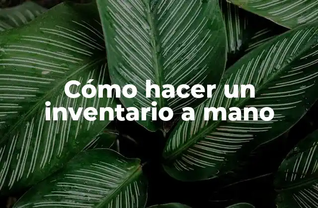 Cómo Hacer un Inventario a Mano