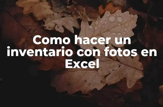 Como Hacer un Inventario con Fotos en Excel