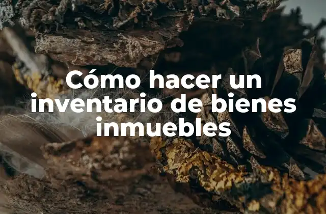 Cómo Hacer un Inventario de Bienes Inmuebles