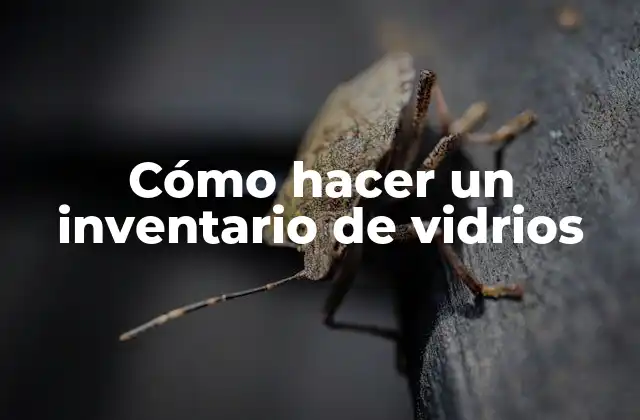 Cómo Hacer un Inventario de Vidrios