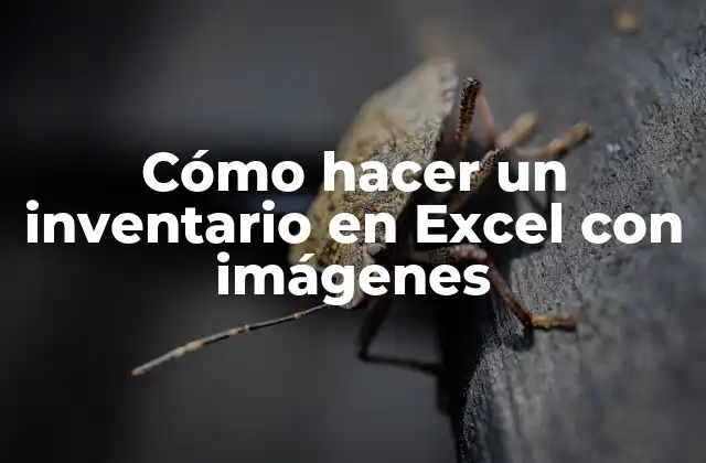 Cómo Hacer un Inventario en Excel con Imágenes