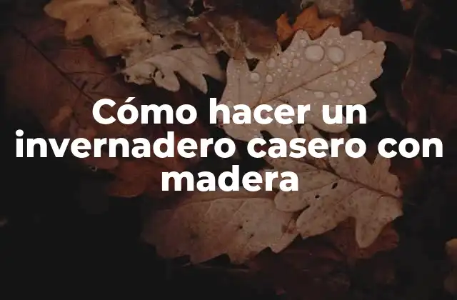 Cómo Hacer un Invernadero Casero con Madera