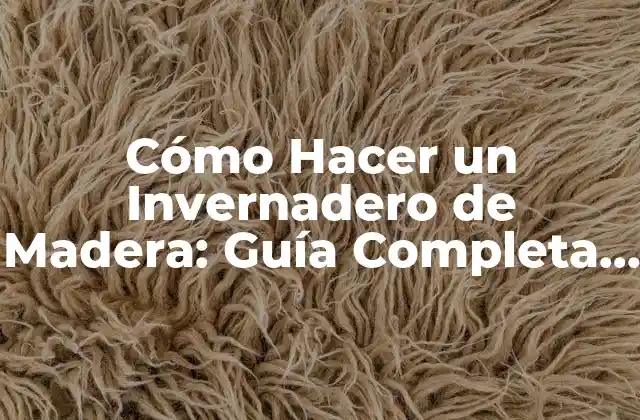 Cómo Hacer un Invernadero de Madera: Guía Completa y Detallada