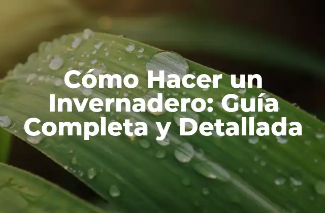 Cómo Hacer un Invernadero: Guía Completa y Detallada