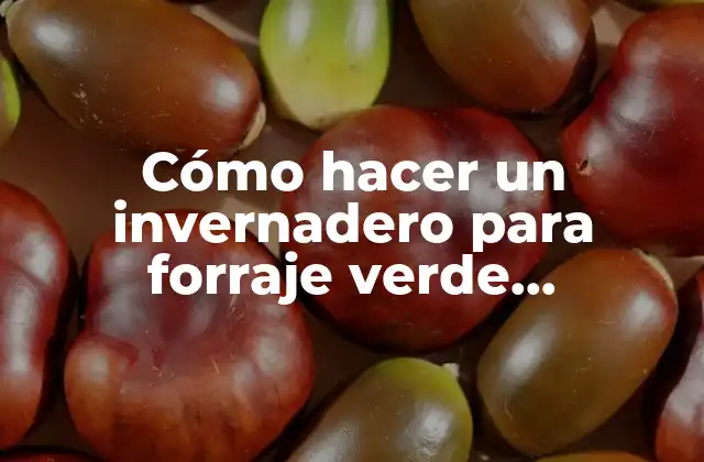 Cómo Hacer un Invernadero para Forraje Verde Hidroponico