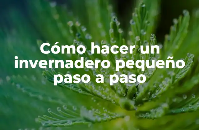 Cómo Hacer un Invernadero Pequeño Paso a Paso